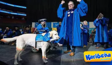 Perro-guia-recibe-diploma-por-ayudar-a-su-duena-discapacitada-en-sus-clases