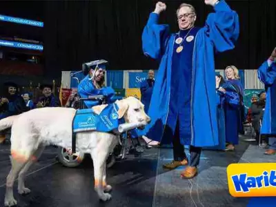 Perro-guia-recibe-diploma-por-ayudar-a-su-duena-discapacitada-en-sus-clases