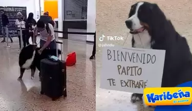 Perrito-da-la-bienvenida-a-su-dueno-en-el-aeropuerto