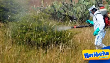 Alerta-Senasa-advierte-la-posible-aparicin-de-5-plagas-por-el-fenmeno-de-El-Nio