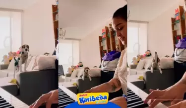 Que-bello-Daniela-Darcourt-toca-el-piano-y-su-mascota-Sammy-empieza-a-cantar
