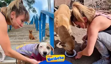 belen-ayuda-a-perritos-de-la-calle-karibena