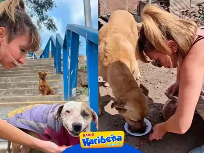 belen-ayuda-a-perritos-de-la-calle-karibena