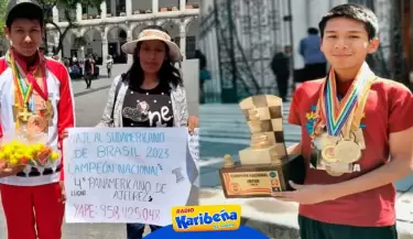 Ajedrecista-arequipeno-vende-patitos-kawaii