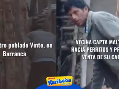 hombre-es-captado-torturando-a-perros-karibena