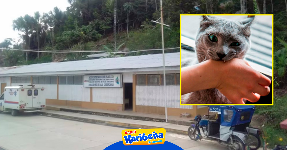 ¡lamentable Dos Niñas Mueren Por Rabia Tras Ser Mordidas Por Su Propio Gato En Amazonas Karibeña 9615