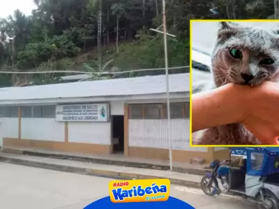 Dos nias mueren por rabia tras ser mordidas por su propio gato en Amazonas.