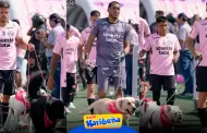 Gran gesto! Sport Boys ingres a su ltimo partido acompaado de diversos perritos en adopcin