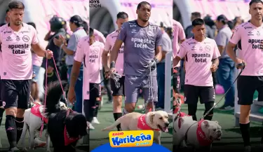Sport Boys promueve la adopcin de perros