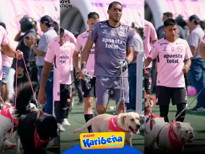 Sport Boys promueve la adopcin de perros