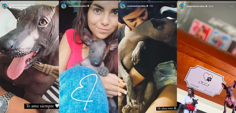 Susana Alvarado de despide de su mascota