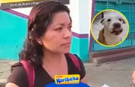 Indignante! Perrito muere asfixiado en bodega de bus: Familia haba pagado para que el can viaje en minivn