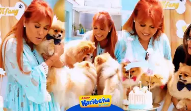 Magaly celebra el cumple de sus hijos perrunos y la critican