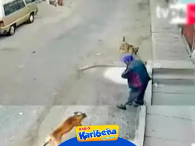 Perros atacaron brutalmente a anciano en Tacna.
