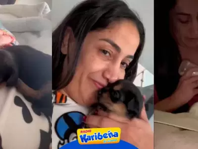 Nelly Rossinelli adopta perro mestizo y usuarios preguntan si es de raza