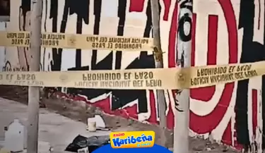 Asesinan a joven mientras pintaba mural de la 'U' en El Agustino.