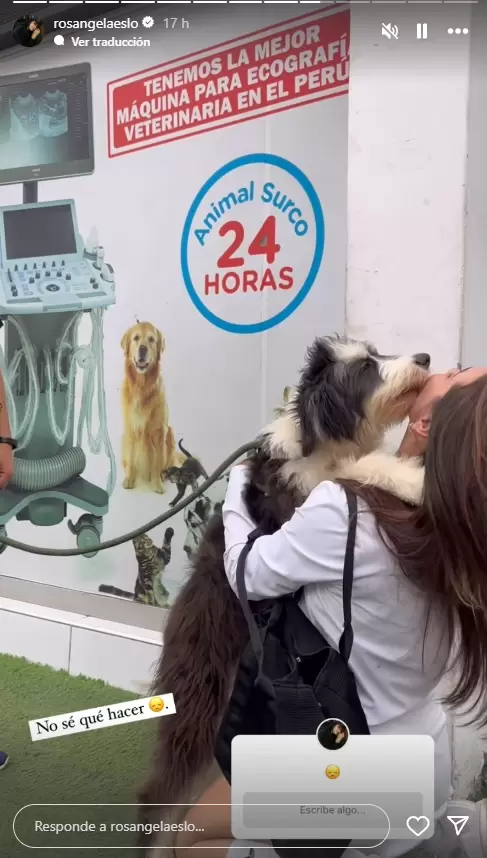 Rosngela Espinoza rescata a perrito