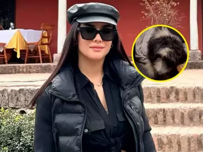 Rosngela Espinoza rescata a perrito abandona pero da mala noticia