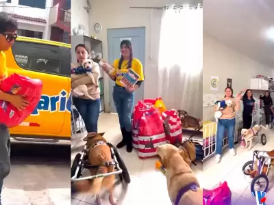 Radio Karibea apoya con alimentos en albergue de perros