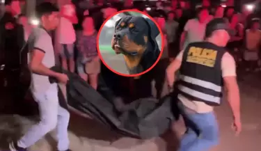 Nio de 7 aos muere atacado por sus dos perros rottweiler