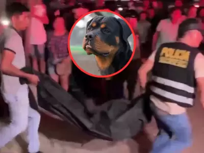 Nio de 7 aos muere atacado por sus dos perros rottweiler