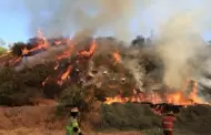 Lamentable! Incendios forestales arrasan Junn y ncash: Los bomberos ya colapsaron