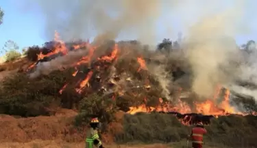 Incendios forestales en Junn y ncash