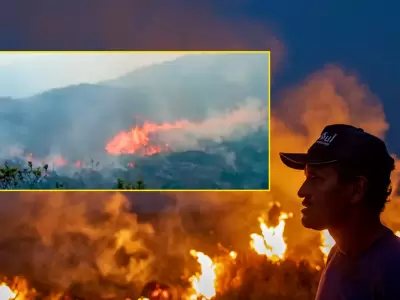 Incendio forestal en Amazonas devasta hectreas y pone en riesgo sitios arqueolgicos.