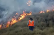 Incendios forestales en Per: Indeci asegura haber sofocado el 60% de siniestros en distintas regiones