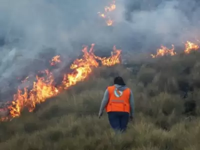 Indeci combate incendios forestales