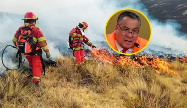 Gobierno no declarar estado de emergencia en zonas afectadas por incendios forestales