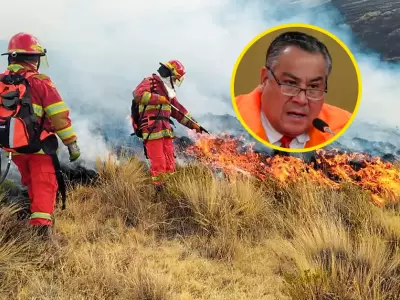 Gobierno no declarar estado de emergencia en zonas afectadas por incendios forestales