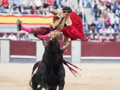 Andrs Roca Rey fue operado de emergencia tras cogida de toro