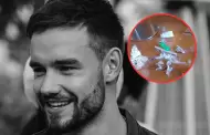 Liam Payne: Hallan sustancias extraas en la habitacin del cantante que muri al caer de un tercer piso