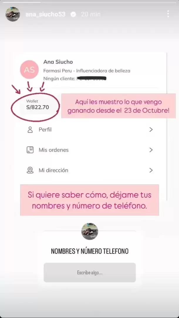 Ana Siucho presume cunto gana en su emprendimiento. (Instagram)