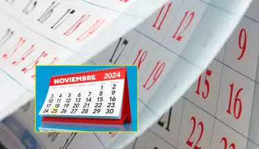 El Diario Oficial El Peruano seala si el 25 de noviembre es feriado o da no laborable.