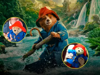 "Paddington en Per" estrenar con talento peruano en doblaje latino.