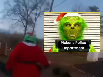 Hombre disfrazado de 'El Grinch' causa alarma al ser arrestado por "robo de regalos".