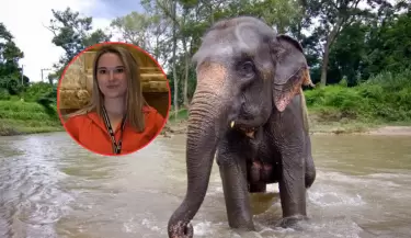 Turista muere atacada por elefante