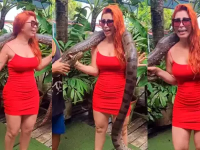 El divertido momento de Milena Zrate con una anaconda