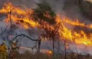 Cientos de familias fueron evacuadas de la Patagonia argentina debido a incendios forestales