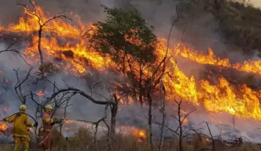 Incendios forestales en Argentina