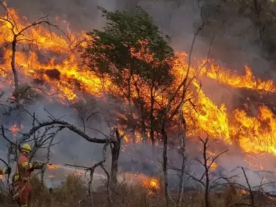 Incendios forestales en Argentina