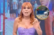 Magaly Medina sobre las imgenes de Jefferson Farfn junto a Xiomy Kanashiro: "Ya que la oficialice"