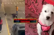 Duea de perrita asesinada en Trujillo rompe su silencio sobre agresor: "Tengo miedo, quisiera irme de Trujillo"