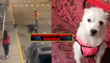 Duea de perrita asesinada en Trujillo da su testimonio de los hechos.