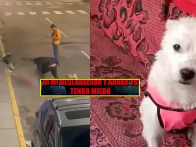 Duea de perrita asesinada en Trujillo da su testimonio de los hechos.