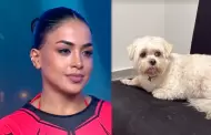Podra quedar fuera! Onelia Molina revela que fue sancionada en EEG por llevar a su perrita: "Vivo sola"