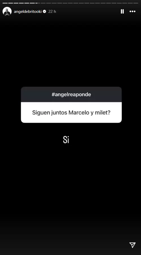 Ángel de Brito sobre Marcelo Tinelli y Milett Figueroa. (Instagram)