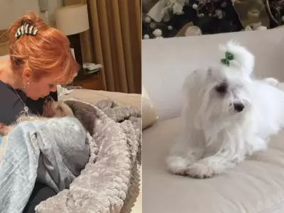 Magaly Medina lamenta la muerte de su mascota Ozzy